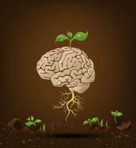 Méthode Le jardinier de l’esprit - cultiver les pensées positives (six scripts hypnotiques)