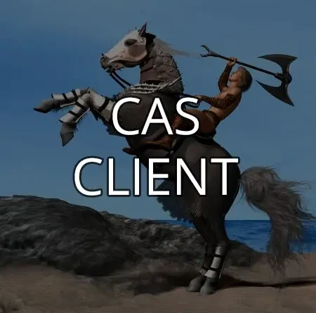 Cas client - Difficulté à avoir de l’énergie (fatigue, épuisement)