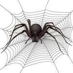 Script hypnotique - Arachnophobie et peur des araignées (hypnose directive)