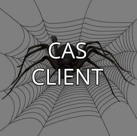 Cas client - Difficulté - peur excessive des araignées (arachnophobie)