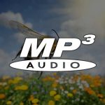 MP3 - Par l’hypnose… j’atténue ma phobie des abeilles