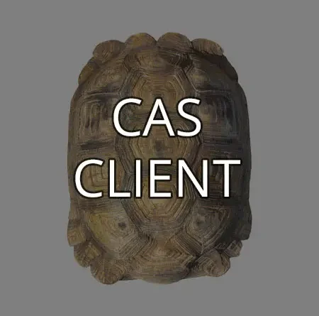 Cas client - Se libérer d’une carapace émotionnelle